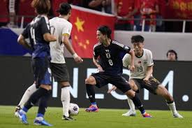谢苏组合对